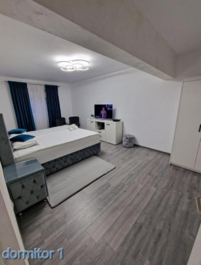 Apartament AlyMit Băile Herculane